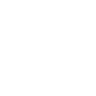 AI PC